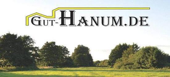 Wolfsburg / Hanum
