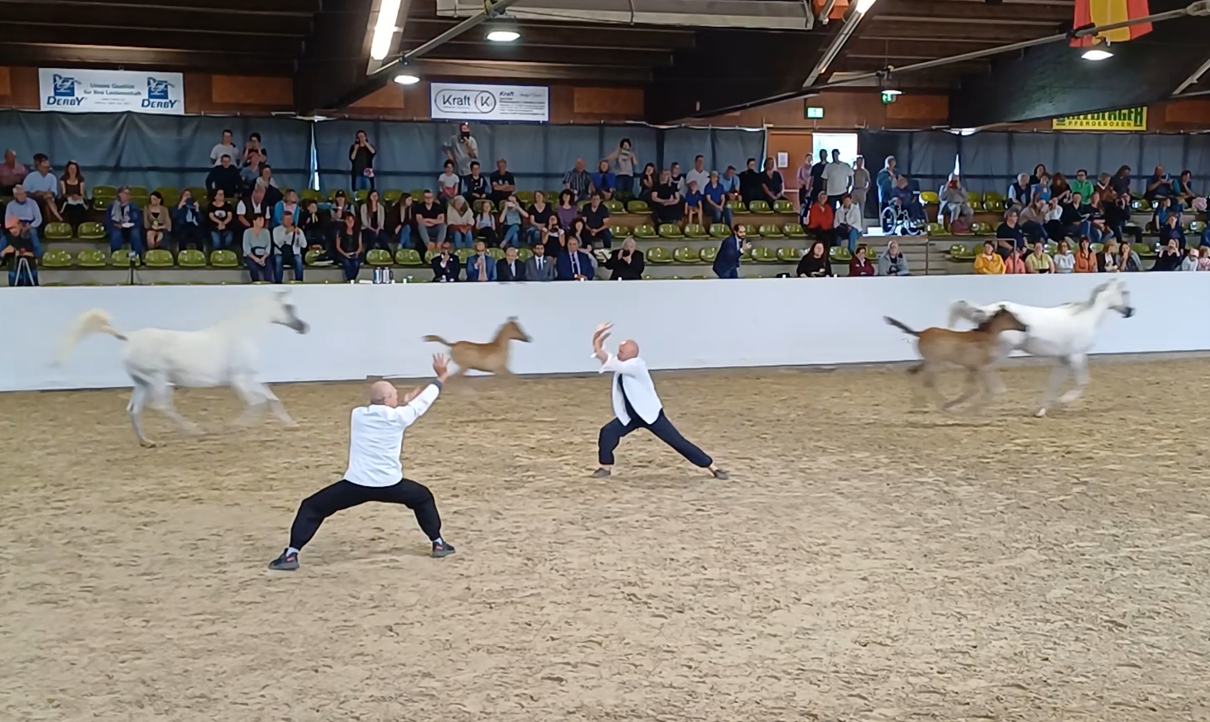 Roland Pausch und eine Kursteilnehmerin lenken zwei frei laufende Pferde in einer Halle vor Publikum